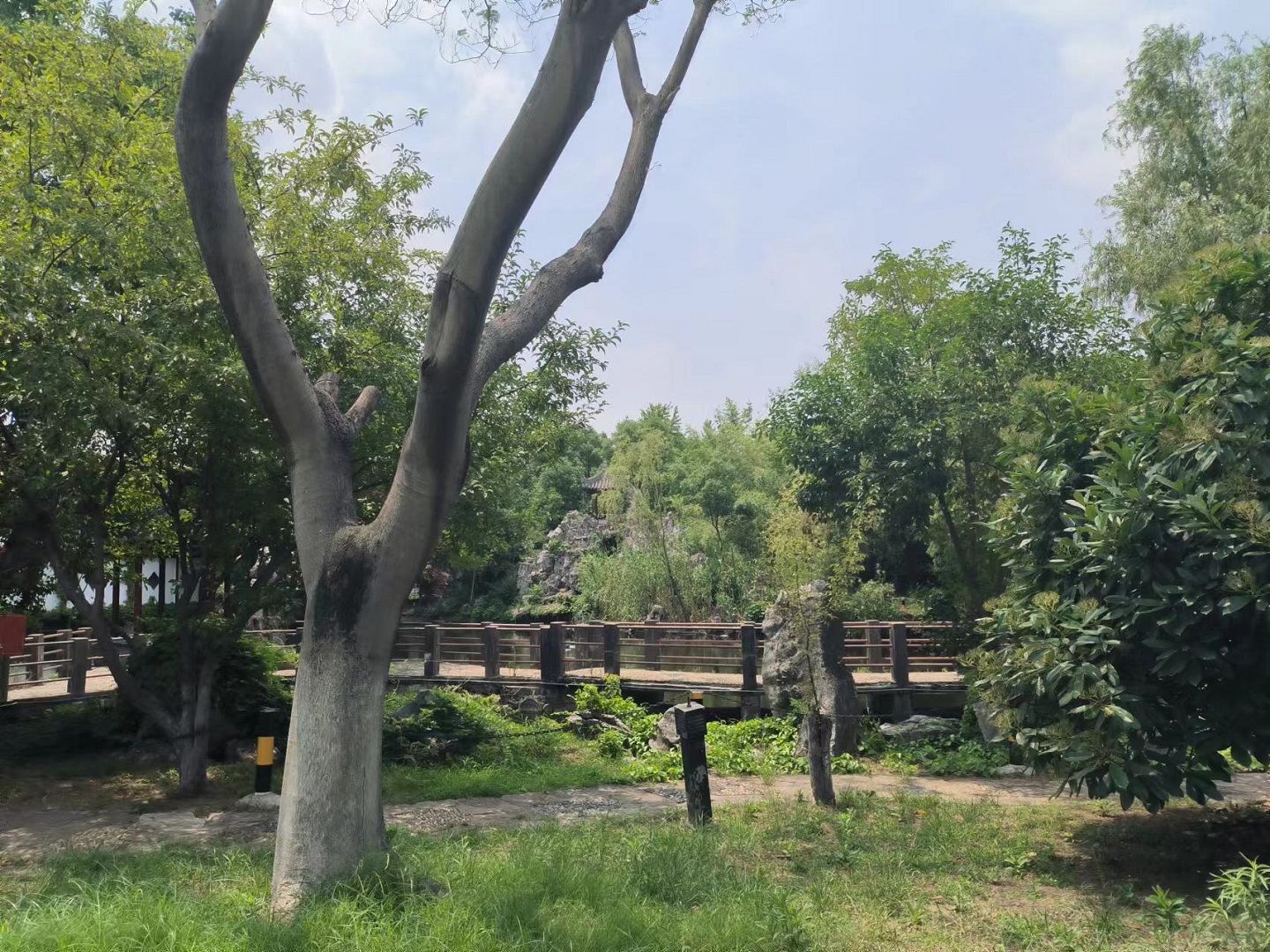 某園林資產(chǎn)價(jià)值評估.jpg